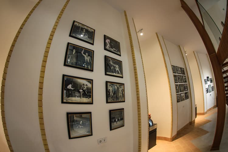 Image 7